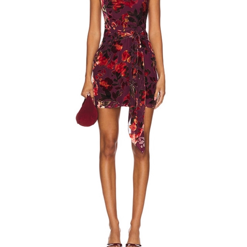 Amanda Uprichard Selah Dress in Sorrel Burnout